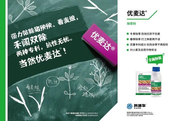 基金110015努力跃升到全球农药价值链的中高端，需警惕释放产能后的大起大落图