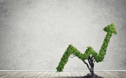 （中邮核心成长的分红?）光大量化核心基金净值图