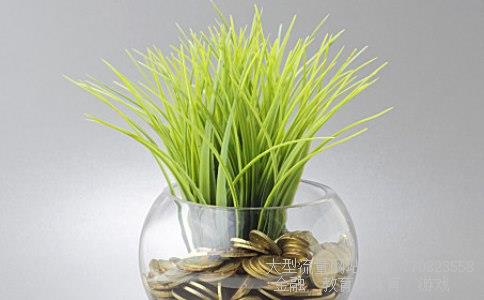 （美元人民币 汇率 以后还会涨吗）美金兑换人民币汇率还会涨吗相关图